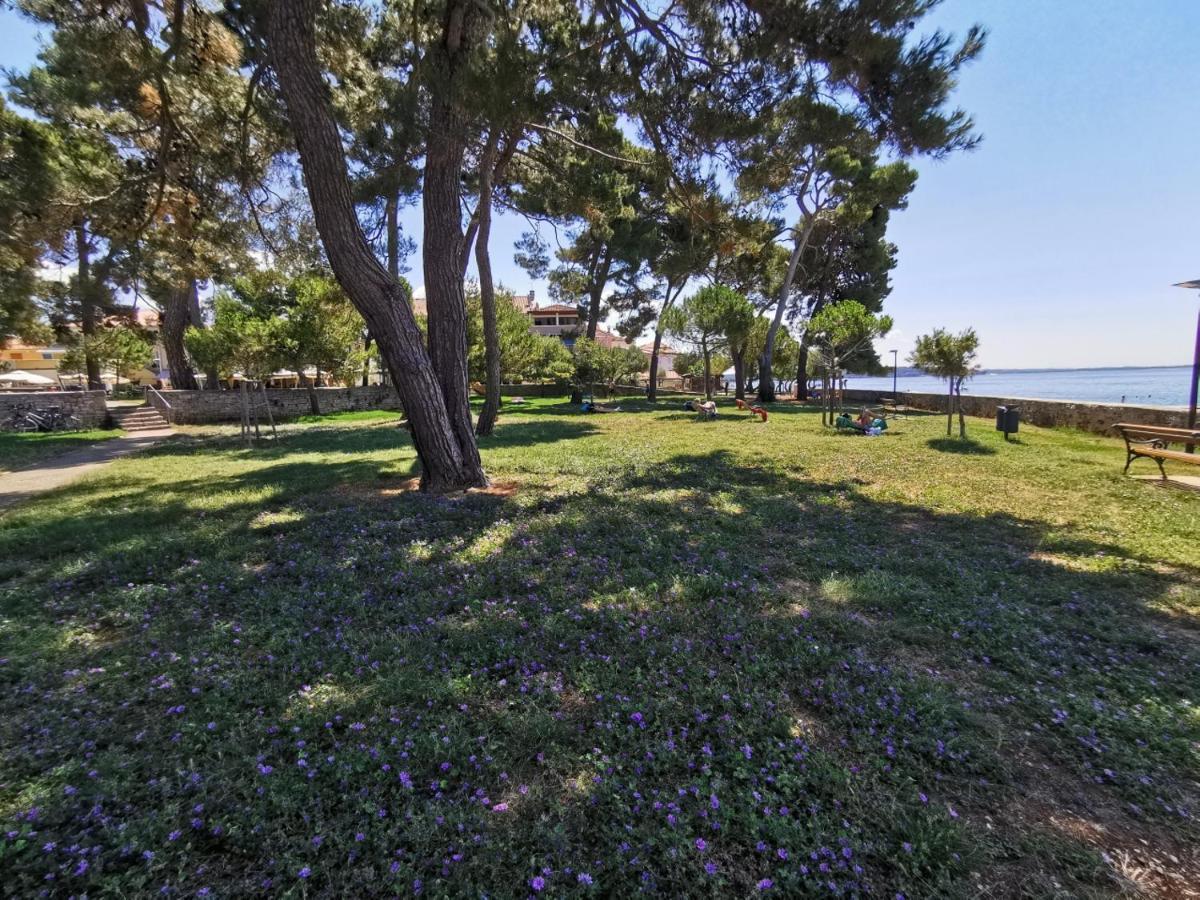 Stella Deluxe Superior 5 Star Apartment, Your Piece Of Heaven By The Sea & Park, With Sea View Новиград Экстерьер фото
